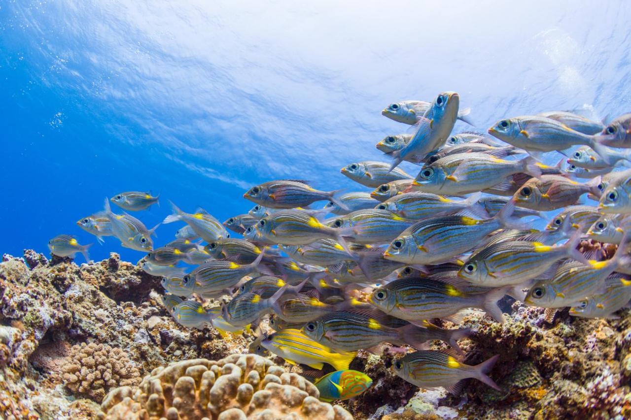 Aparthotel Ecot Shimozato 1 Miyakojima  Exteriér fotografie