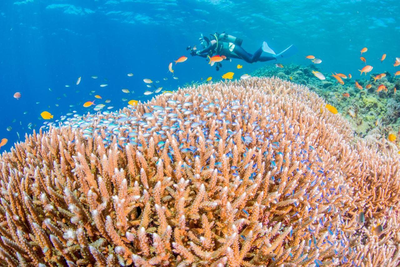 Aparthotel Ecot Shimozato 1 Miyakojima  Exteriér fotografie